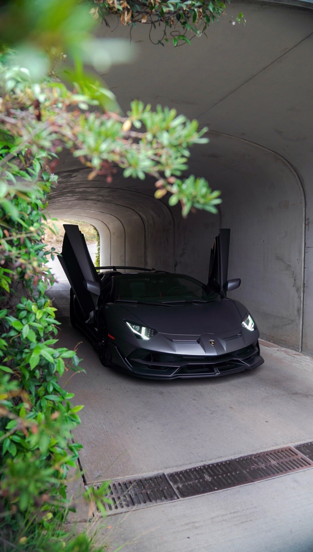 Lamborghini Aventador SVJ Roadster
