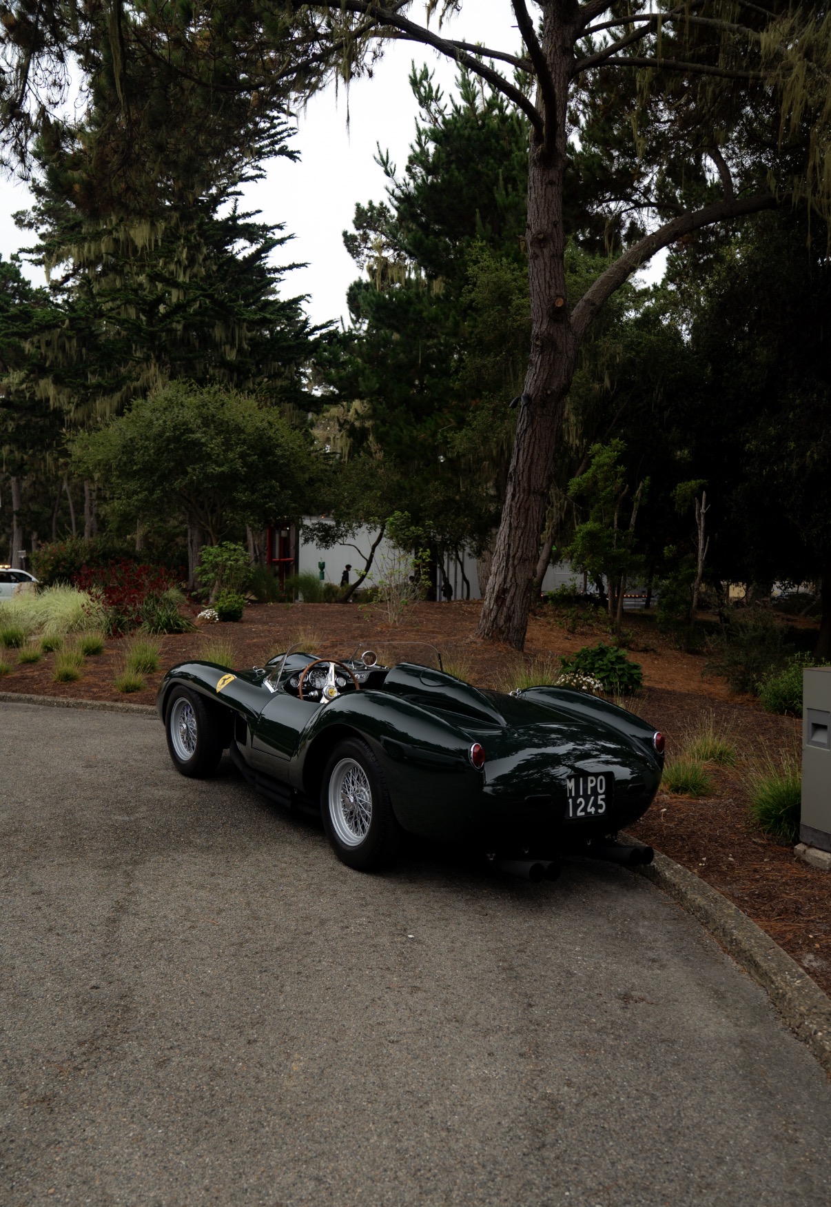250 Testa Rossa in Green — Ferrari · 250 Testa Rossa