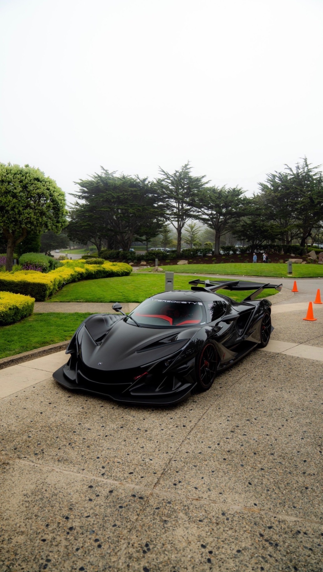 Apollo Intensa Emozione (IE)