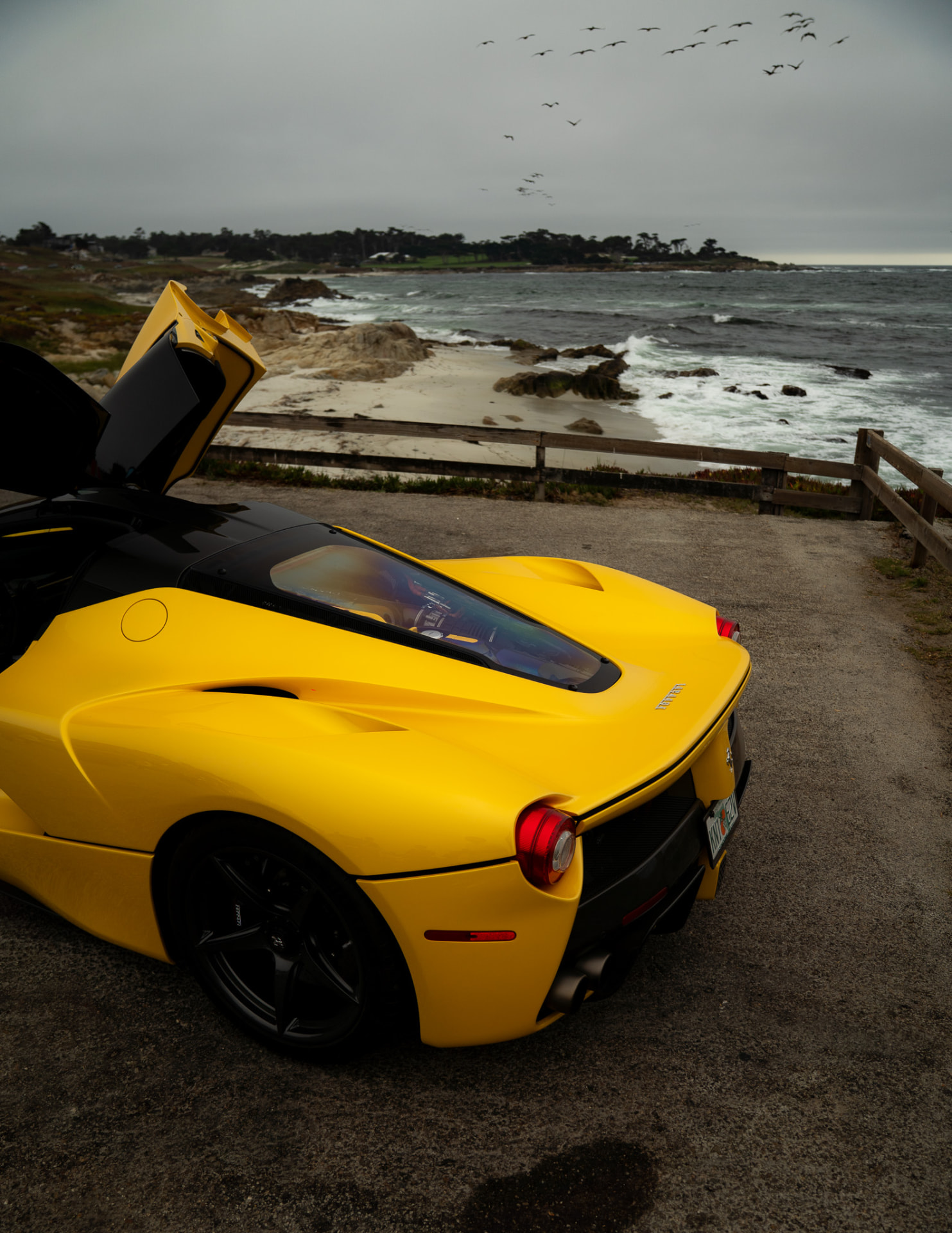Ferrari LaFerrari shot 2